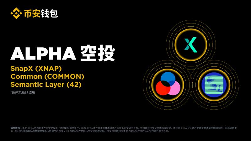 COMMON币全面介绍
