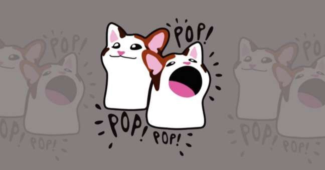 什么是POPCAT？怎么买？POPCAT工作原理、代币经济学及未来前景