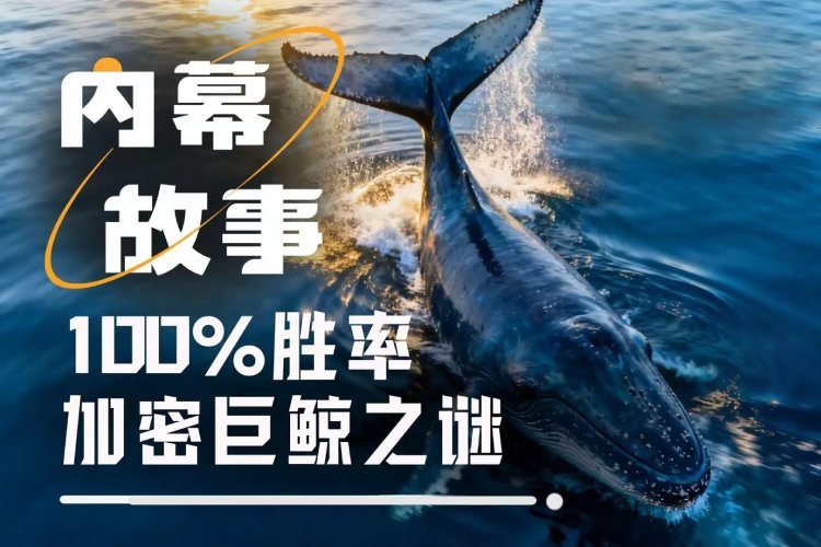 各大内幕巨鲸操作解析