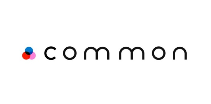 Common协议深度解析：COMMON代币经济模型与空投领取指南