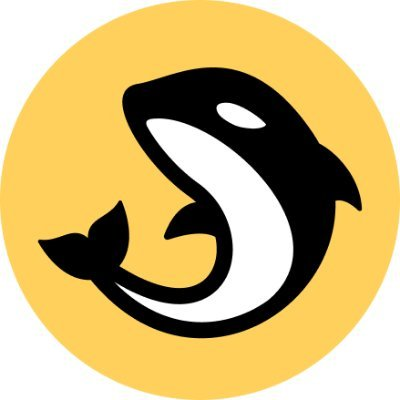 深度解析Orca (ORCA)：核心机制、代币经济及未来价格走势
