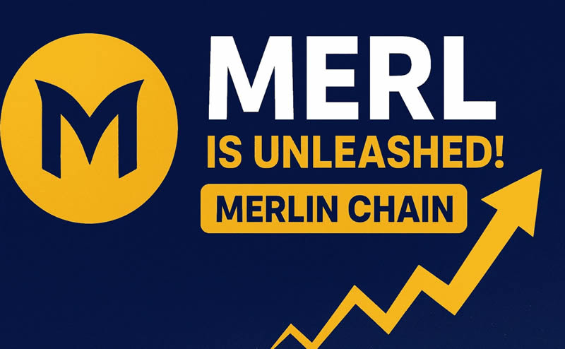比特币Layer2生态大爆发:详解Merlin、B² Network等项目是否值得关注?