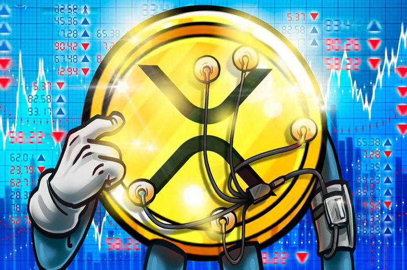 瑞波币（XRP）巨鲸限制抛售，钱包增长达到8个月高点