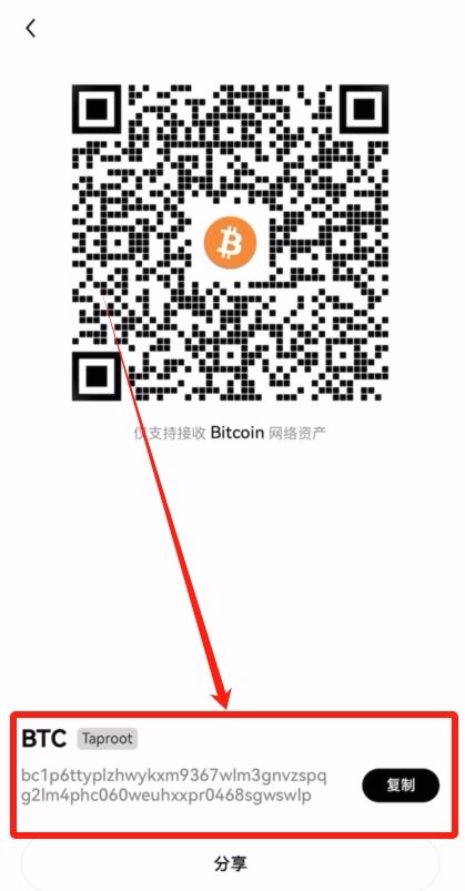 把交易所里面的比特币安全转入钱包,实现真正去中心化存币_11