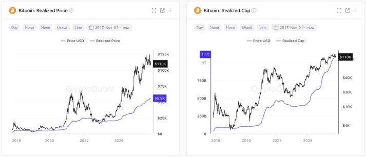 比特币进入机构主导时代:CryptoQuant 解析资金流入强劲但价格停滞原因