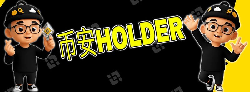 BNBHOLDER币全面介绍