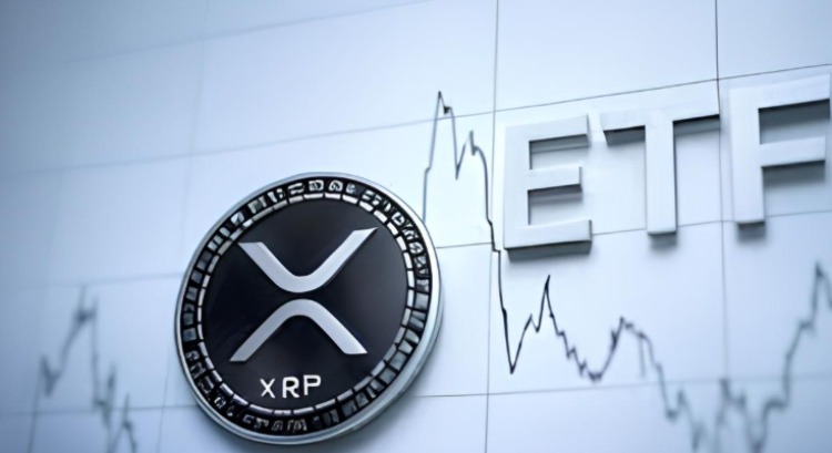 XRP价格预测