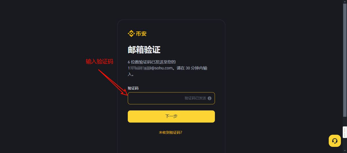 3. 输入验证码