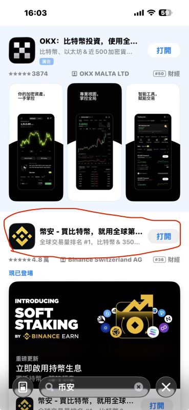 注册海外Apple ID详细步骤_图14