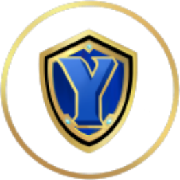 超越公会定义：YGG如何构建Web3玩家的共享生态家园