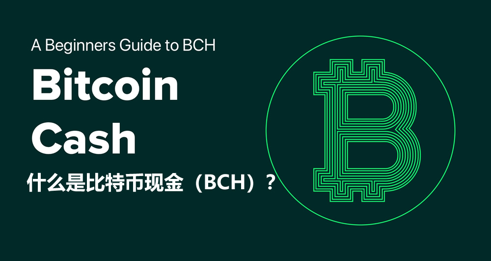 比特币现金入门指南