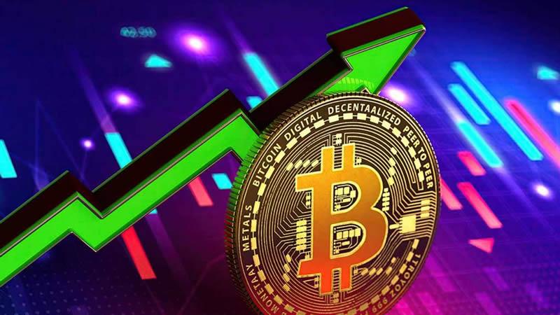 2025年币圈牛市资金流向与投资机遇全揭秘