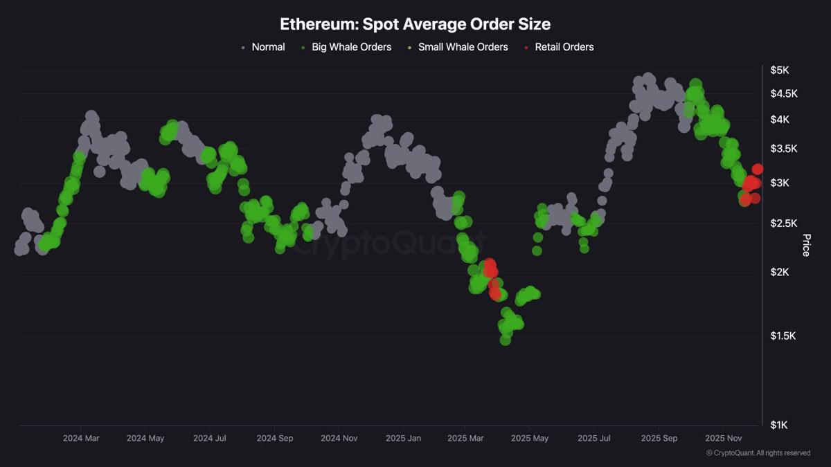 ETH领跑BTC：20%机会来了？