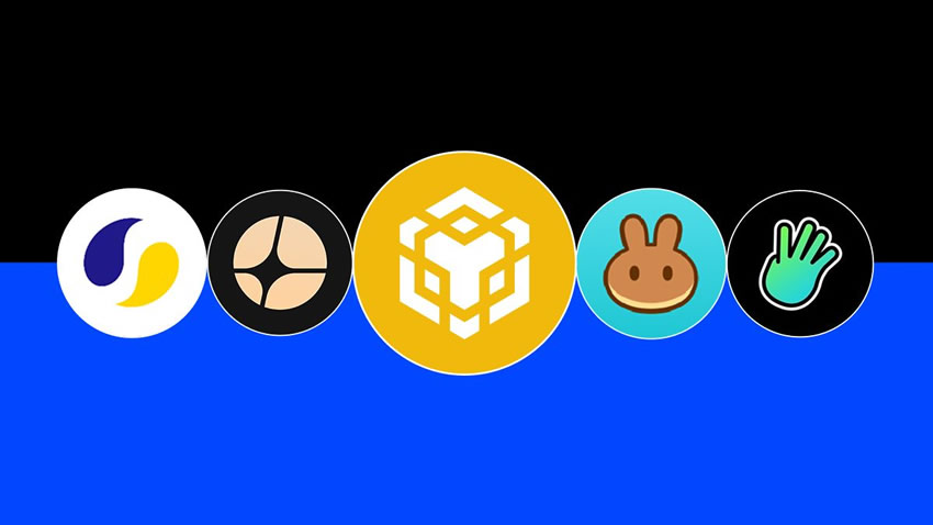 BNB链热门代币解析：从核心资产到市值先锋的全景盘点