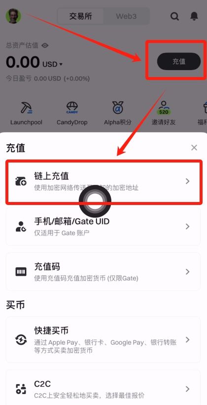 入金