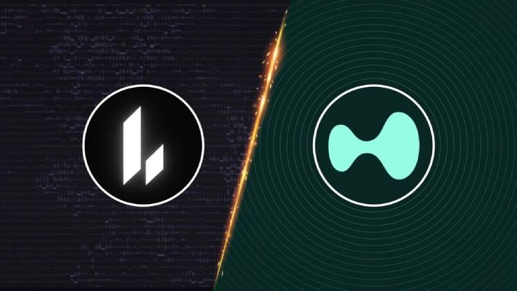 Lighter与Hyperliquid对决：TGE前夕，谁将主宰永续合约市场？