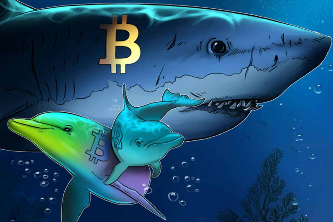 比特币空头以13年来最快速度累积，BTC下跌30%
