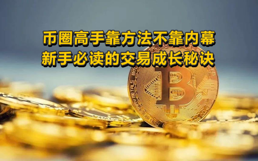 摒弃内幕幻想：币圈资深玩家的核心交易法则与成长路径