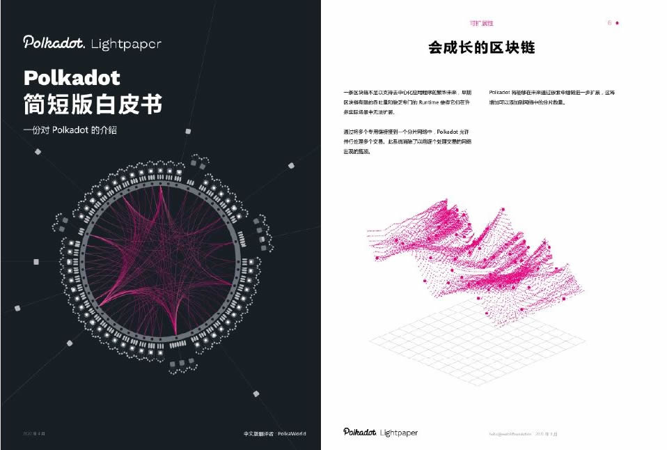 白皮书分析