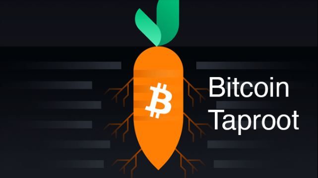 Taproot地址详解：比特币最新格式解析与应用前景