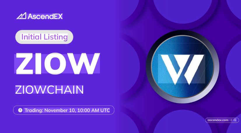 深度解析ZIOWCHAIN(ZIOW)：生态架构、代币模型与投资价值评估