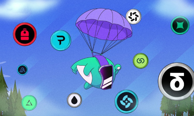 Perp DEX空投活动盘点