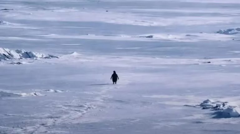 什么是尼采企鹅(PENGUIN)?PENGUIN概念、原理及风险解析
