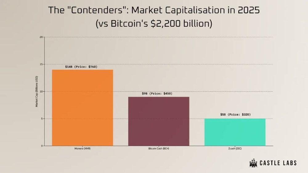 2025年门罗币比特币现金Zcash的市值规模