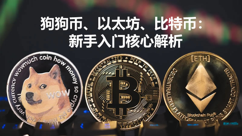 狗狗币、以太坊、比特币:新手入门核心解析(附选币与风险指南)