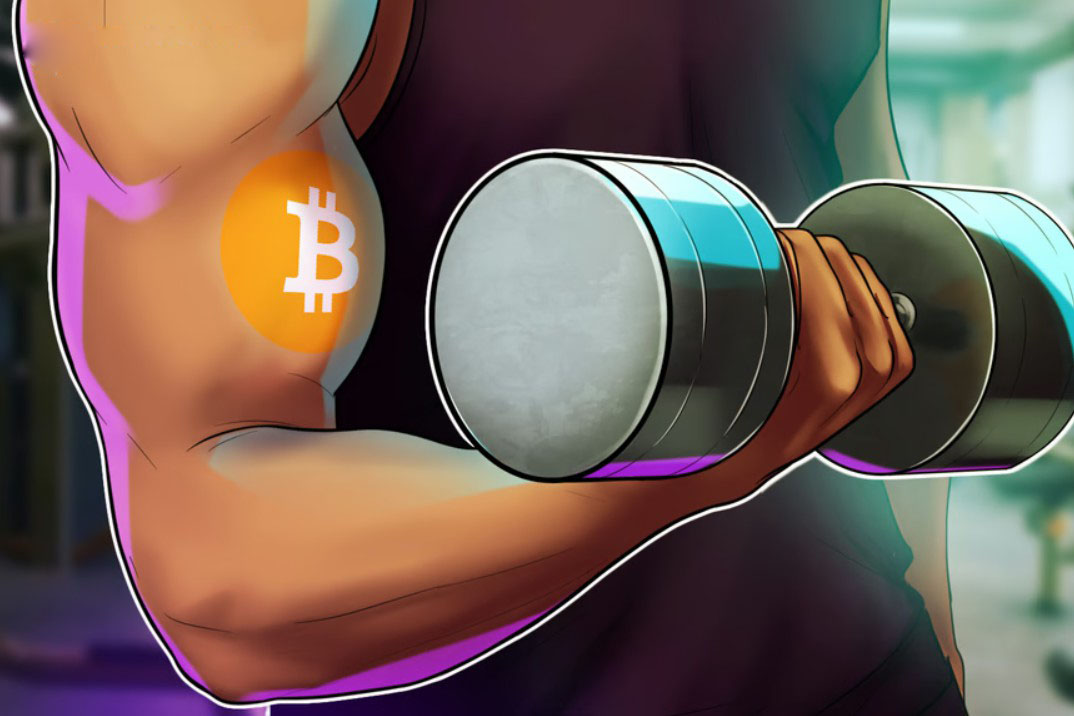 比特币(BTC)罕见信号解析:220%价格飙升的潜在逻辑与市场影响