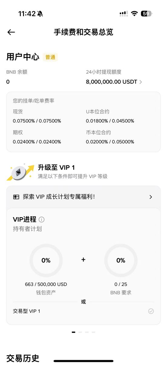 如何查看当前VIP等级?_图4