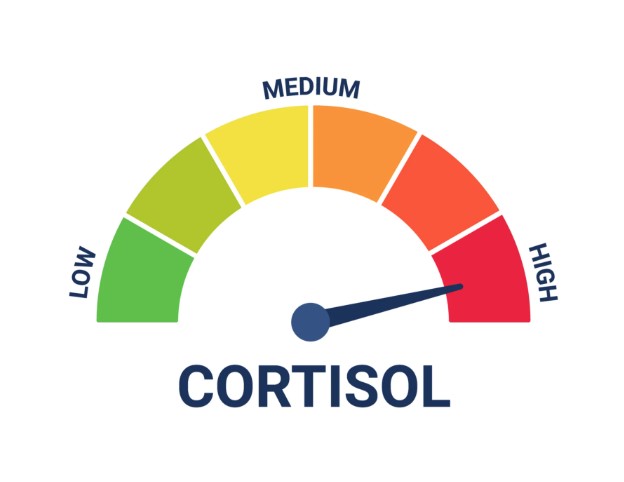 CORTISOL Coin 2026年价格走势与深度解析