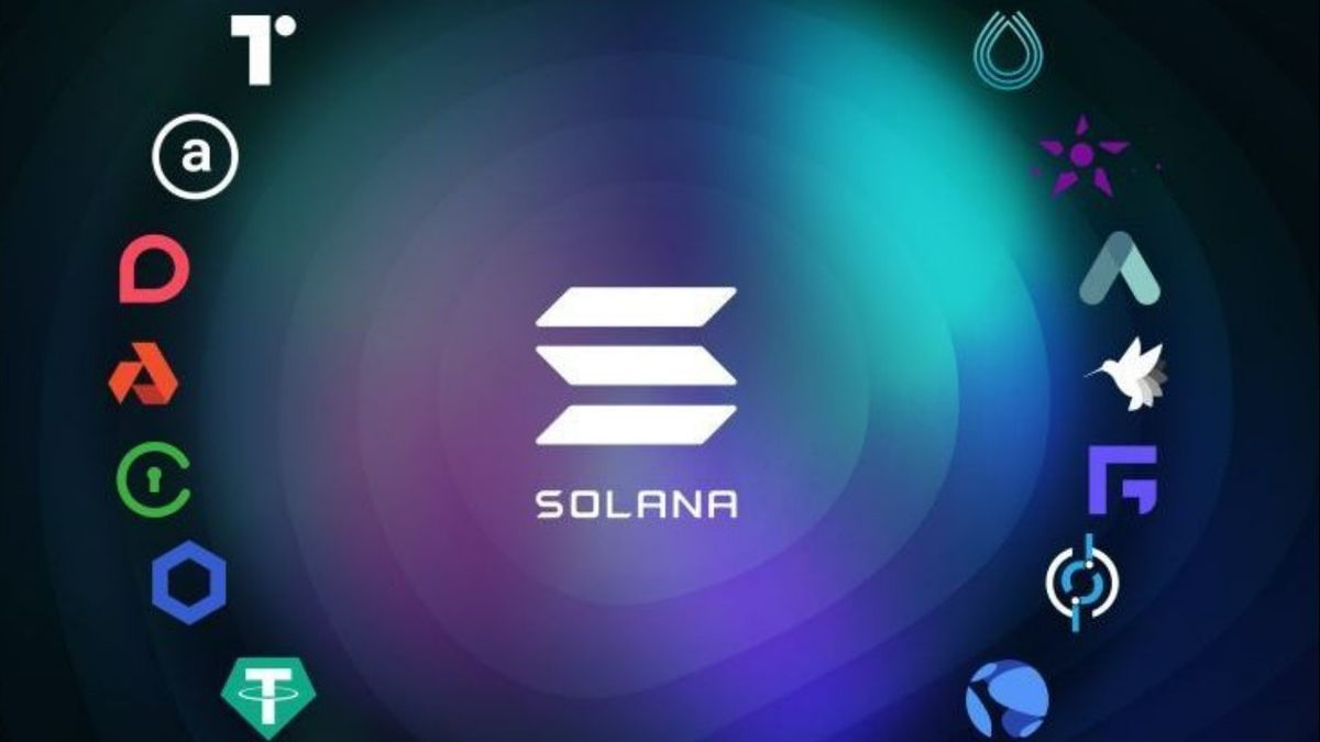 2026年2月Solana热门Meme币TOP5:趋势分析与投资指南