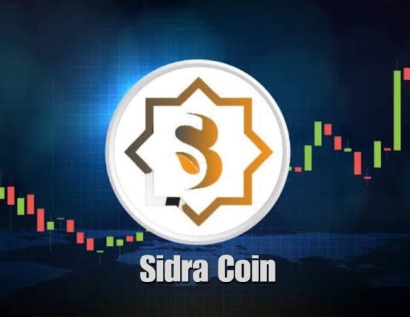 2026年Sidra Coin价格展望与上市初期估值分析