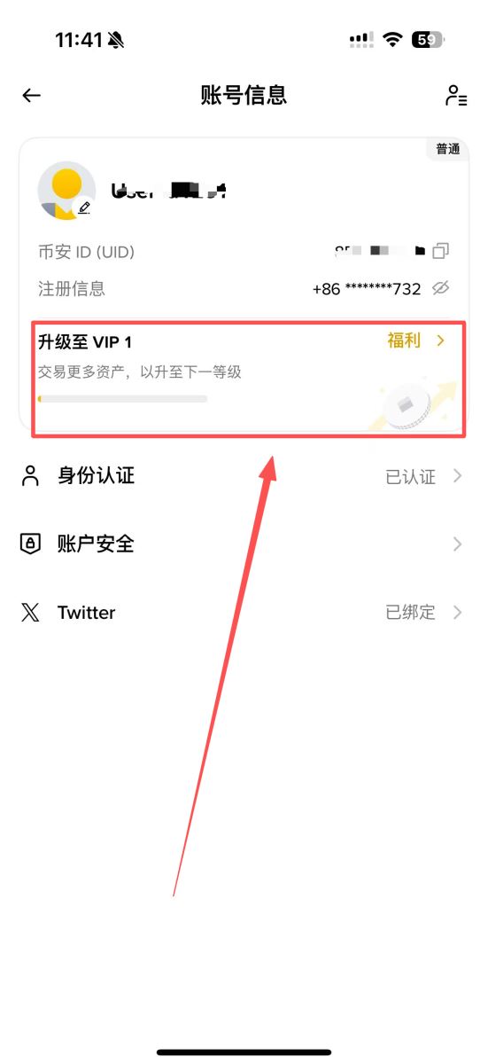 如何查看当前VIP等级?_图3