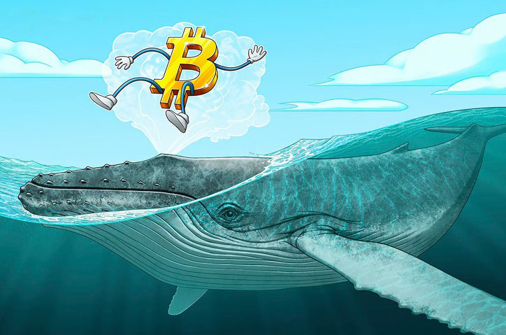 比特币（BTC）多头冲上69000美元，散户施压空头持仓，后续走势如何？