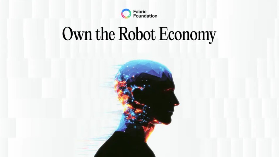 什么是 Fabric Protocol?