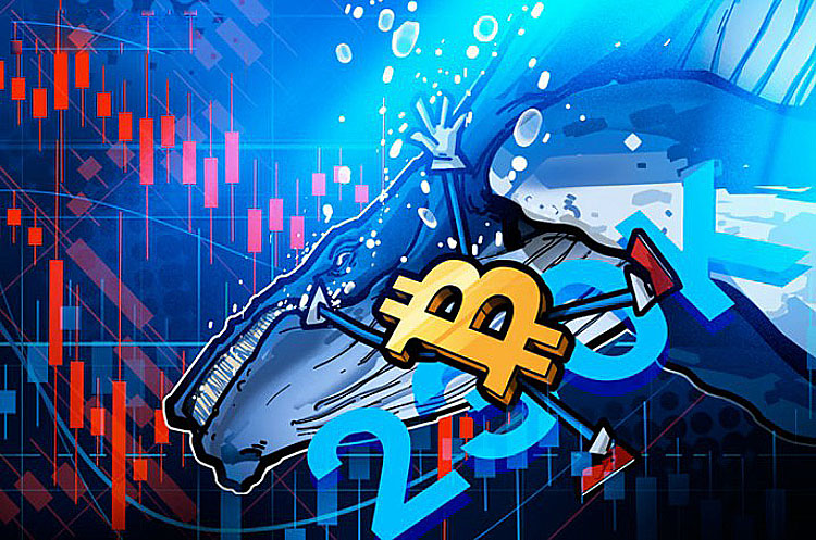 比特币（BTC）巨鲸参与V型抄底，抵消了23万枚BTC的抛售