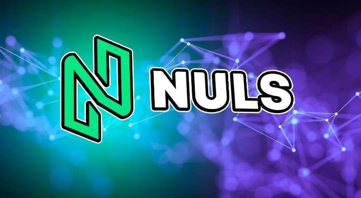 什么是NULS币?NULS工作原理、未来展望及价格预测