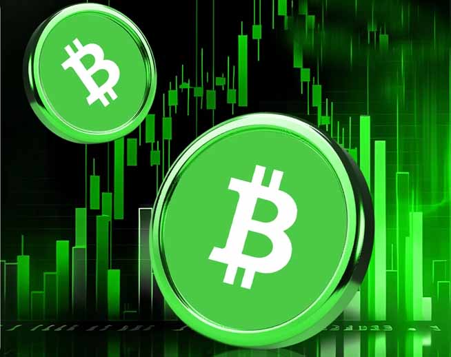 2026年比特币现金(BCH) 币价格预测：有望突破500美元？一文分析