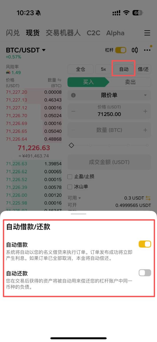 自动借款模式