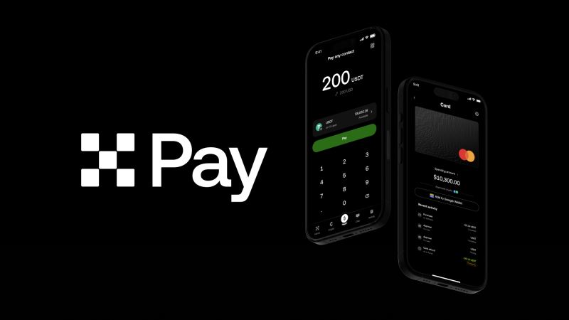 什么是 Pay ？