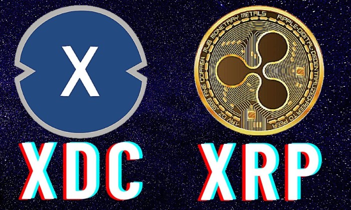 2026年XDC与XRP的对比，值得了解的关键差异