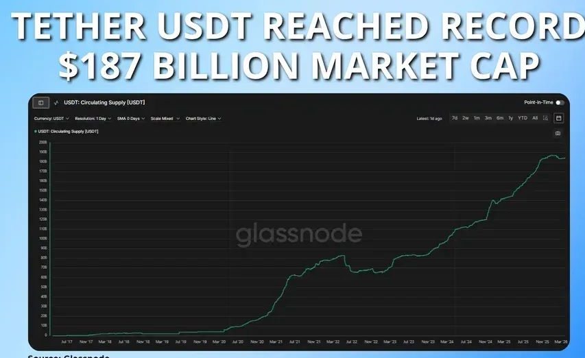 Tether (USDT) 数据统计与趋势