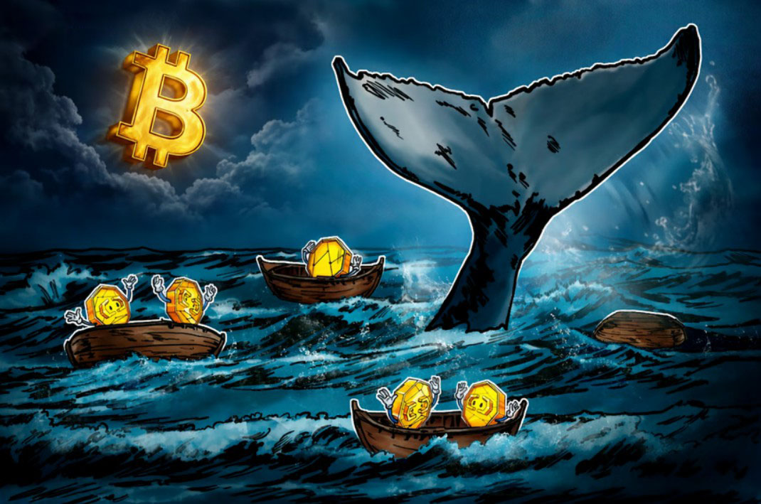 2026年第一季度比特币（BTC）大额交易者日均亏损达3.37亿美元