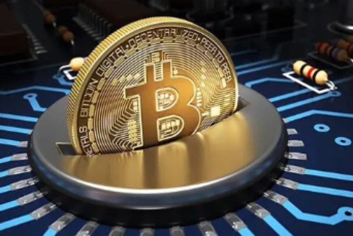 币圈新手必读：解析11大热门赛道逻辑与选币策略