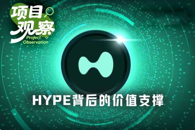 BTC奄奄一息，HYPE凭什么逆势大涨20%？HYPE币上涨背后的原因分析