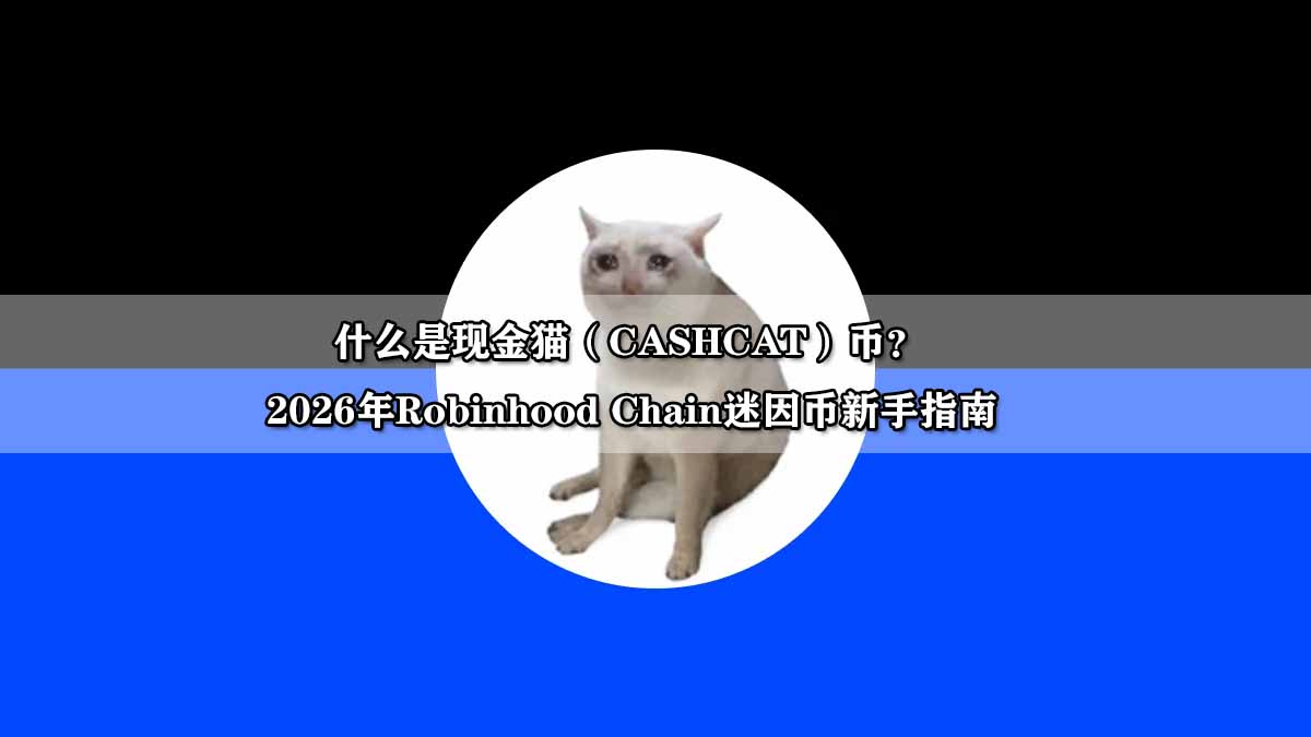 CASHCAT迷因币深度解析：Robinhood Chain上的现金猫投资指南