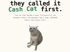 Robinhood Chain首秀：CEO玩梗助推Meme猫CashCat狂飙1700%