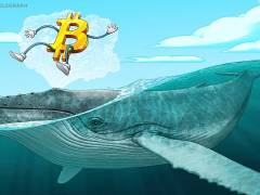 链上数据警示：5万枚BTC处于浮亏状态，投降式抛售或 imminent